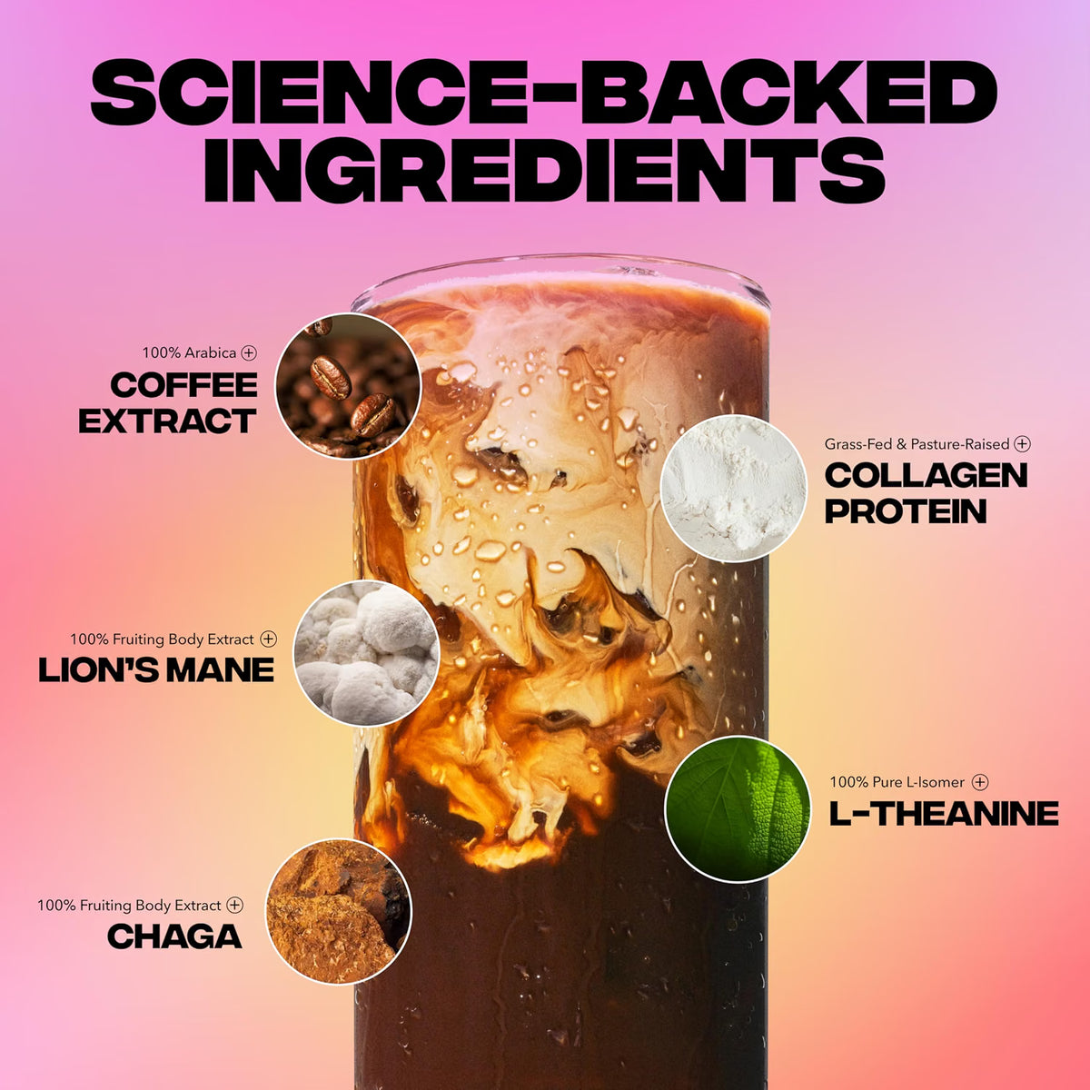 Everyday Dose Premium Adaptogenic Mushroom Coffee, Mild Roast